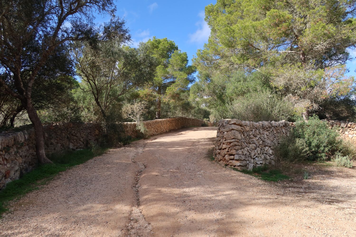 A path between dry-stone walls in the Menorcan countryside